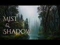 MIST AND SHADOW | dark forest ambience and music | sounds of forest with ambient fantasy music
