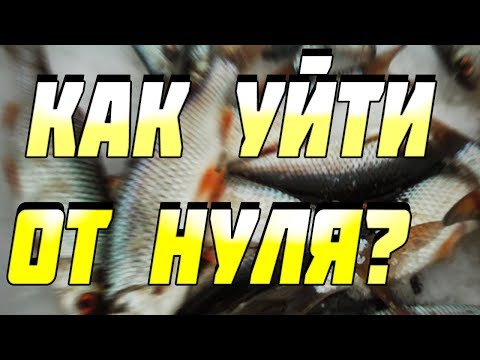 фильмы по ловли плотвы фильмы по ловли плотвы
