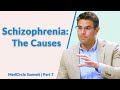 These Are the Potential Causes of Schizophrenia