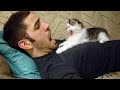 When your cat teaches you to do silly things 😂 Funny Cat and Human