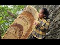 Harvesting Honey Bee Hive From Mountain Goes Market Sell - Lý Thị Ca