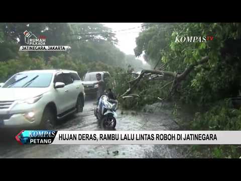 Download Hujan dan Angin Kencang Sebabkan Pohon Tumbang free