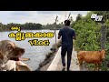 ഒരു കല്ലുമ്മക്കായ vlog|fishing|dubbervlog|varappuzha|kallumakkaya|vlog|