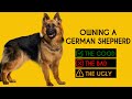 Owning a German Shepherd: The Good, The Bad, The Ugly