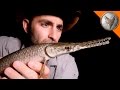 Download Bizarre Creatures of Texas! mp4 3gp mp3 videos - waplic