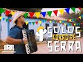 SOLOS FORRÓ PÉ DE SERRA NA SANFONA  - PJ SANFONEIRO