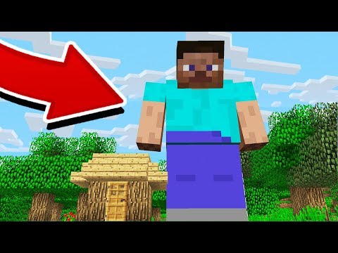 THE WORLD S LARGEST MINECRAFT PLAYER 