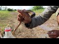 Amazing Technology , Coca Cola And Mentos Catch A Lot Eels In Underground Hole