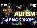 Autism Calming Sensory Music Tension Release Butterfly Visuals