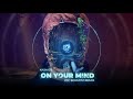Kaskade - On Your Mind (Pic Schmitz Remix)