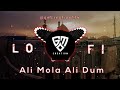 Ali Mola Ali Dam | Lofi | #lofi #lofinaat #trending #maulaali #karbala karba