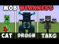 All Minecraft Mobs weakness in Hindi