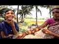 প্রতিবছর দশটা করে মৌমাছির আল খাই। তালা দিতে হবে নইলে ছাগল বাঘে নিয়ে যাবে। Sundarban village Life |