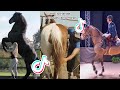 The Best HORSE TikTok Compilation #75