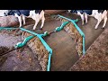 Amazing Modern Automatic Cow Farming Technology - Fastest Feeding, Cleaning and Milking Machines