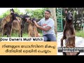 Dog training malayalam|എങ്ങനെ നമുക്ക് ഡോഗ്സിന് പരിശീലനം നൽകാം|Belgium Malinois|Labrador|Gsd
