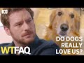 Do dogs really love their owners? | WTFAQ | ABC TV + iview