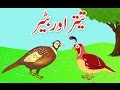 Teetar aur Batair (Urdu Poem) | (تیتر اور بٹیر (اردو نظم