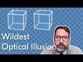 The Boxes DO NOT Move: The Wildest Optical Illusion I've Ever Seen