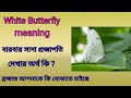 What does it mean when you see a white butterfly ? (Bengali)