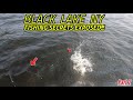 Revealing the Best Pike Color for Black Lake NY!