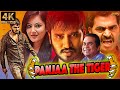 Panjaa The Tiger - Superhit Action Hindi Dubbed Movie | Telugu Hindi Dubbed Full Movie | South Movie