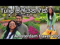 Tulip මිලියන 7ක් | Amsterdam travel vlog