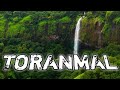 तोरनमाल।toranmal hill station.toranmal hill station in maharastra❤️.#akashmore.Toranmal 2023 video.