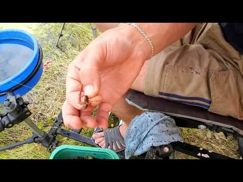 ловить на метод видео ловить на метод видео