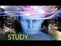 6 Hour Study Music, Alpha Waves, Studying Music, Calm Music, Focus Music, Concentration Music ☯161