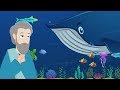 Jonah and the Whale | Stories of God I Animated Children's Bible Stories | Bedtime Stories For Kids