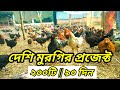 দেশি মুরগির প্রজেক্ট। চুলচেরা বিশ্লেষণ। Deshi Murgi Farm Project। Native Chicken। Desi hen farm