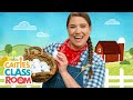 The Farmer In The Dell | Songs from Caitie's Classroom