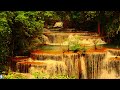Soothing sound of waterfall 24/7 With beautiful music for Sleep / Relaxation and Rest