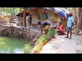 Fishing and cooking Telapia fish in tribal village style | village cooking review