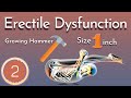 Yoga for Erectile Dysfunction - Part 2 | Growing Hammer 🔨
