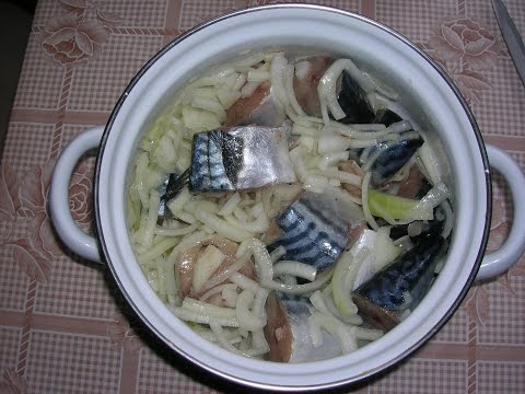 Рецепт засолки скумбрию в домашних условиях