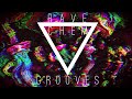 Rave Chem Grooves: PSYTRANCE set Vol.3 (@BERN)