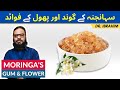 Moringa/Sohanjna Ki Gond Aur Phool Ke Fawaid/Moringa's Tree Sap/Gum & Flower's Benefits (اردو हिंदी)