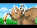 Gazoon Terbaik - Ular Vs Burung | Kartun Lucu | ToBo Kids TV Bahasa