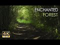 4K HDR Enchanted Forest - Blackbird Singing - Springtime Bird Song - Relaxing Nature Video & Sounds