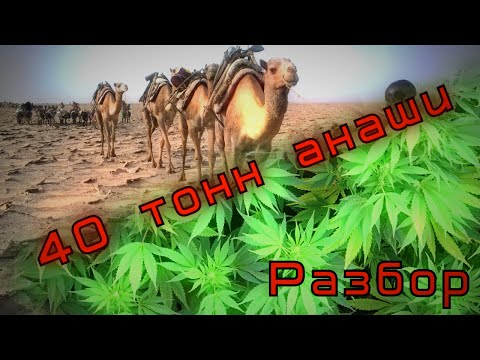 Скачать песню караван с гитарой