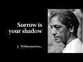 Sorrow is your shadow | Krishnamurti