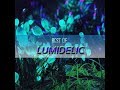 Best of Lumidelic mix by Lumidelic