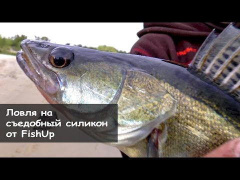 ловля рыбы держи съедобный силикон ловля рыбы сверху съедобный силикон