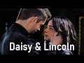 The Evolution of Daisy & Lincoln