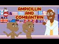 Ampicillin and Combantrin