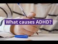 What Causes ADHD & How To Address It