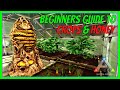 GREENHOUSE, CROPS & HONEY | Beginners Guide | ARK: Survival Evolved 2022 | The Island [S1 E7]
