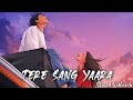 Tere Sang Yaara - Atif Aslam Song | Slowed And Reverb Lofi Mix,🎧🎧🎧😘😘😘😘
